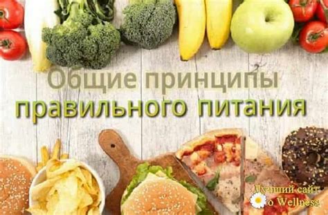 Принципы правильного положения челюсти в повседневной жизни