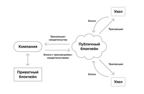 Проверка целостности данных блокчейна: обеспечение надежности и безопасности