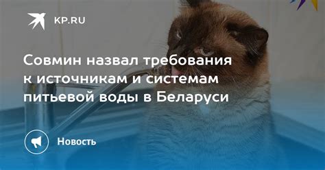 Путешествие к природным источникам питьевой воды в виртуальном мире игры