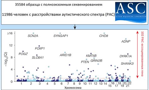 Результаты удаления генов: преимущества и возможные проблемы