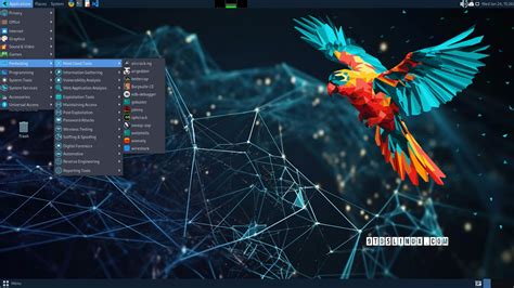 Решение типичных сложностей при установке Parrot OS