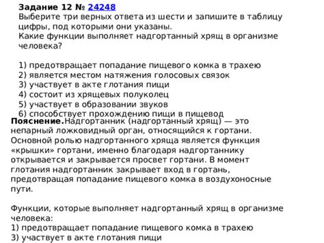 Роли сновидца и кошки в акте напоения жидкостью из ладоней: расшифровка символики