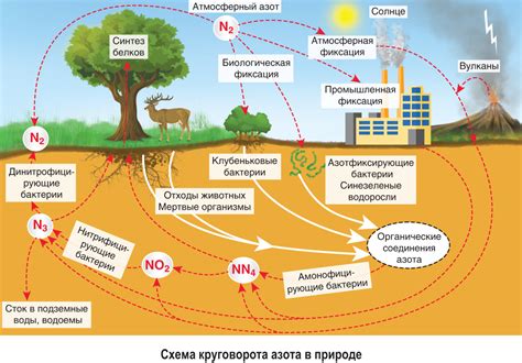 Роль точности в определении количества азота в контейнере