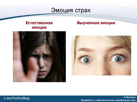 Смешанные эмоции в сновидениях: разрушение прежних убеждений