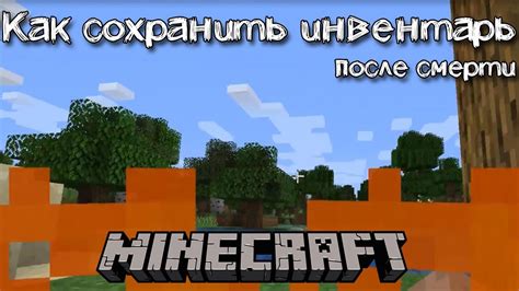 Сохранение скина в Minecraft: как сохранить пользовательский образ после удаления одежды