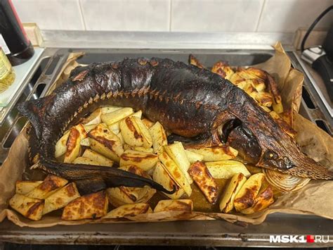 Специфика внутренностей осетра