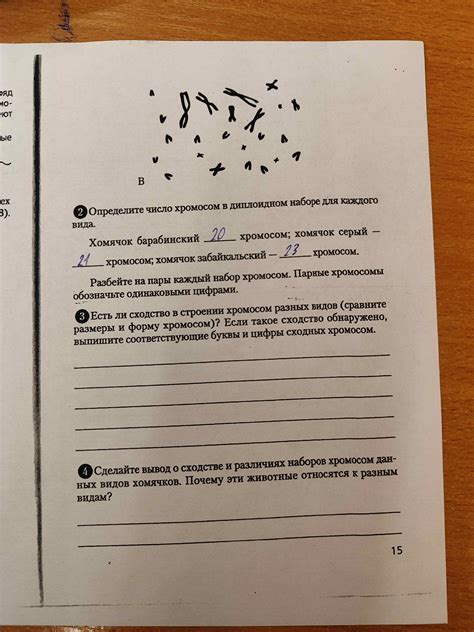 Сравните размеры и форму модели Vans