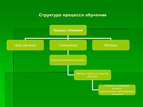 Структура обучения в рамках программы