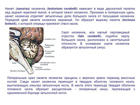 Традиционные методы лечения и хирургическая коррекция деформации оболочки спинного мозга