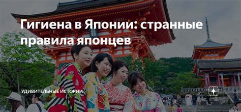 Уровень сигнала и его важность в повседневной жизни