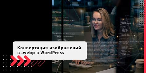 Установка и настройка плагина для программы моделирования зданий