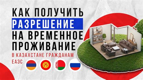 Установка питомца на замок-молнию: подробные шаги и советы