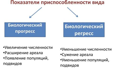 Фокины в настоящее время и сегодня