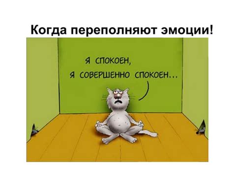 Чрезмерная эмоциональность: когда слова переполняют эмоции