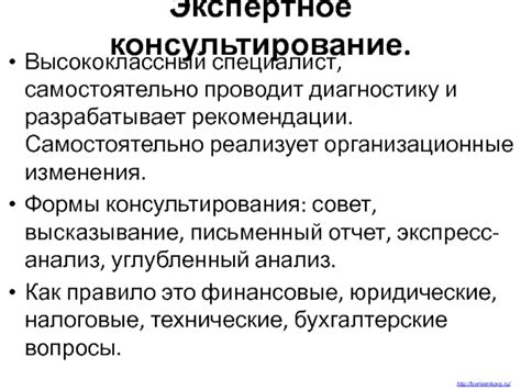 Экспертное консультирование и профессиональные услуги