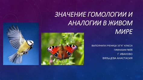 Эмоциональное значение и аналогии, связанные с появлением швабры в сновидении