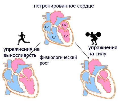  Альтернативные способы отображения сердцебиения во время стримов 