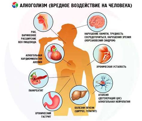  Количество пуринов в бобовых и их воздействие на организм 