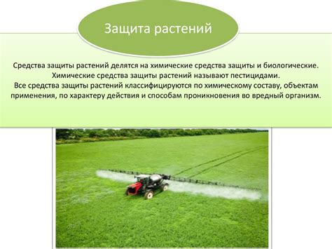 Химические средства: борьба с проблемой собачьей нечистоты 