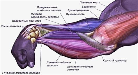  Что такое изгиб кисти и зачем он необходим 