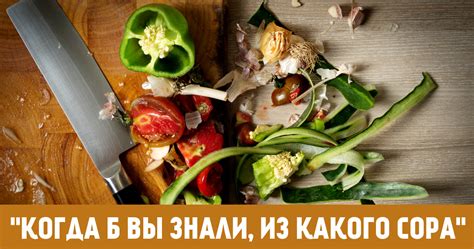  Что такое остатки еды и почему их стоит приготовить 